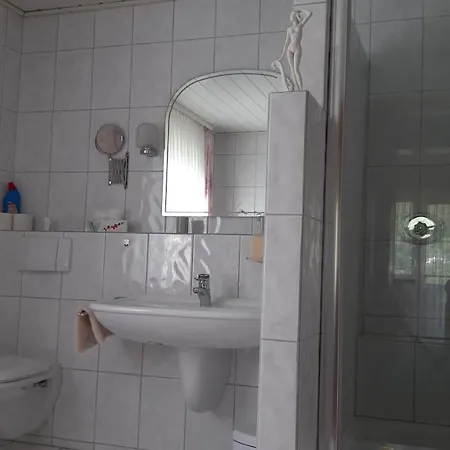 Apartament Haus im Strycktal Willingen  Zewnętrze zdjęcie
