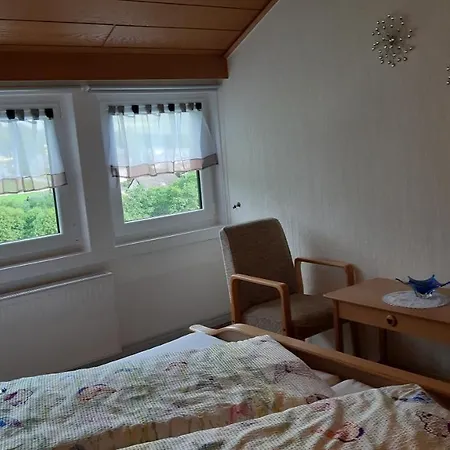 Apartament Haus im Strycktal Willingen  Zewnętrze zdjęcie