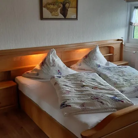 Apartament Haus im Strycktal Willingen  Zewnętrze zdjęcie