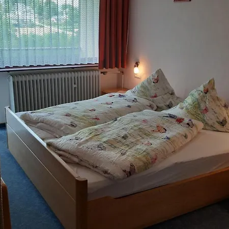 Apartament Haus im Strycktal Willingen  Zewnętrze zdjęcie