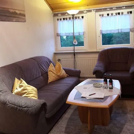Apartament Haus im Strycktal Willingen  Zewnętrze zdjęcie